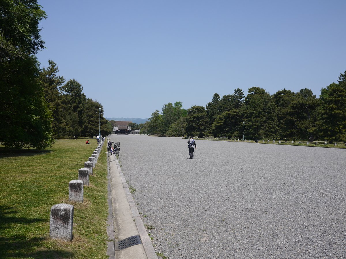 Longevity of software