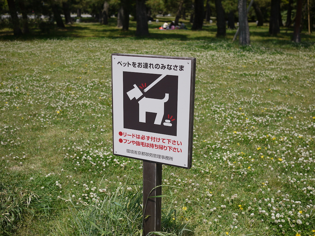 Should companies be required to publish security reviews?